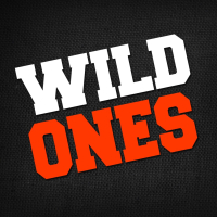 Wild Ones (Single)