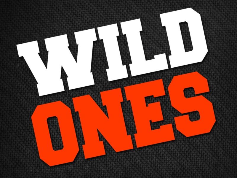 Wild Ones (Single)