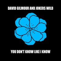 You Don't Know Like I Know (Single)