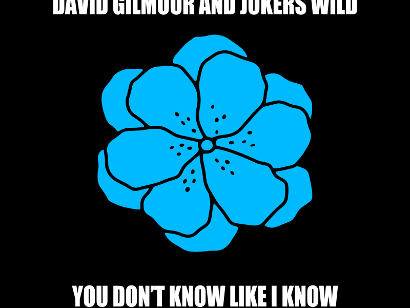 You Don't Know Like I Know (Single)