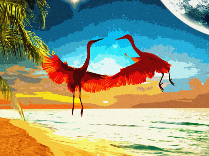 Rainy Birds Can't Do (Single)