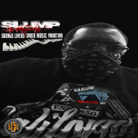 SLUMP SOUNDS LOWERED UNDER MUSIC PRODUCTIONS (Single)