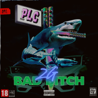 Bad Bitch (Single)