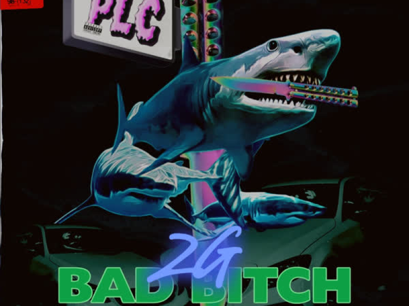 Bad Bitch (Single)