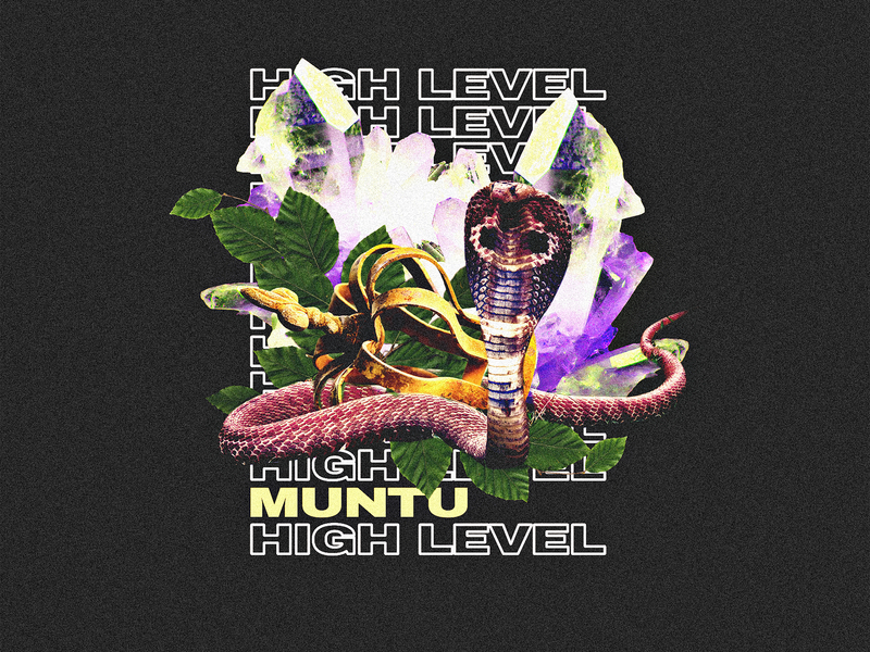 High Level