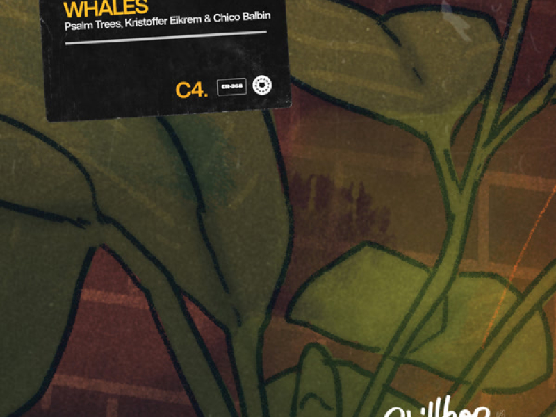 Whales (Single)