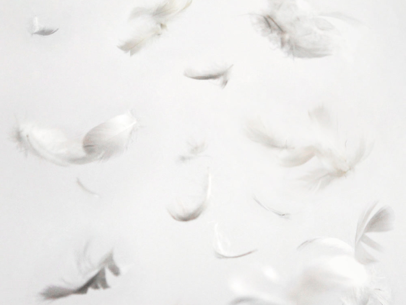 LISTEN 004 How Are You, The Love of My Life (Single)