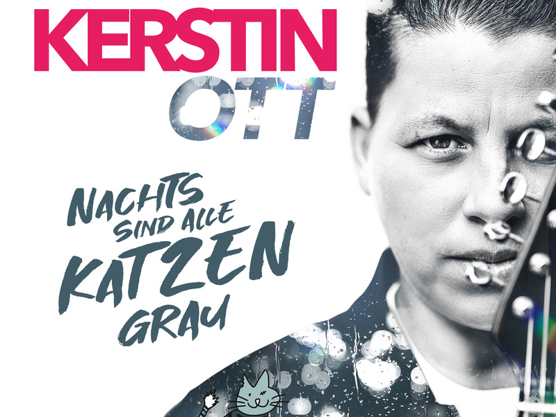 Nachts sind alle Katzen grau