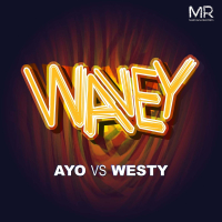 Wavey (Radio Edit) (Single)