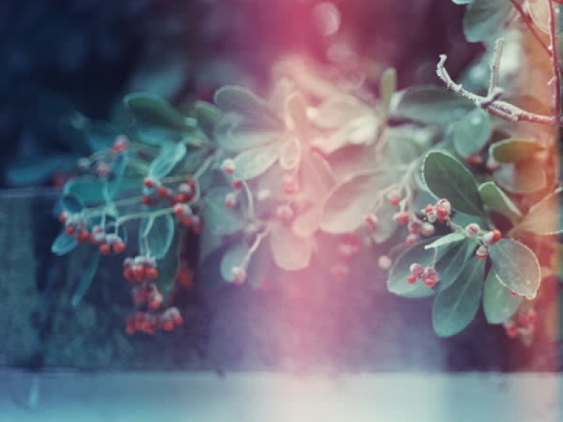 어쩌면 좋아 (Single)