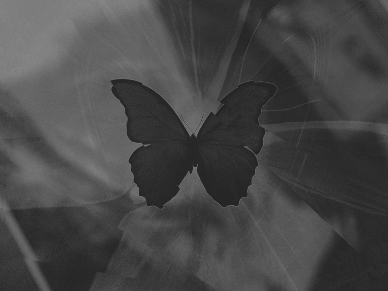 The Butterfly Effect