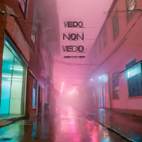 Vedo Non Vedo (Single)