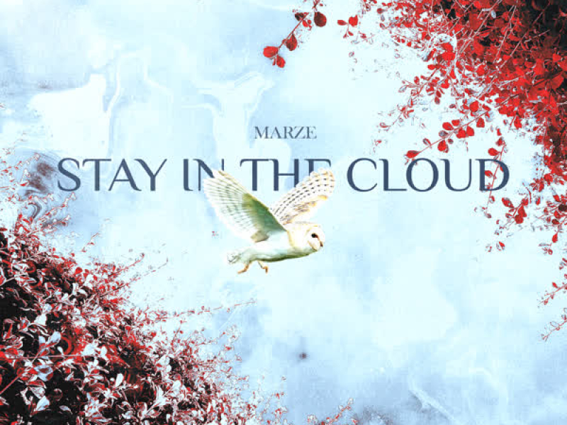 Stay In The Cloud (Single)