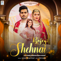 Bajegi Shehnai (Single)