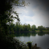 Sound of Forest Pond for Stress Relief and Deep Relaxation (Single)