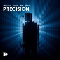 Precision (Single)