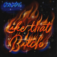 Like That B*tch (Single)