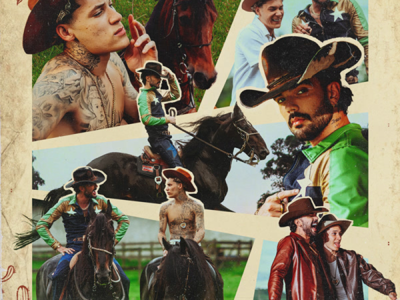 Alto Padrão (Single)