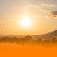 Healing Ambient Music With Nature Sounds And Gentle Piano For Anxiety Relief And Mindfulness (Single)