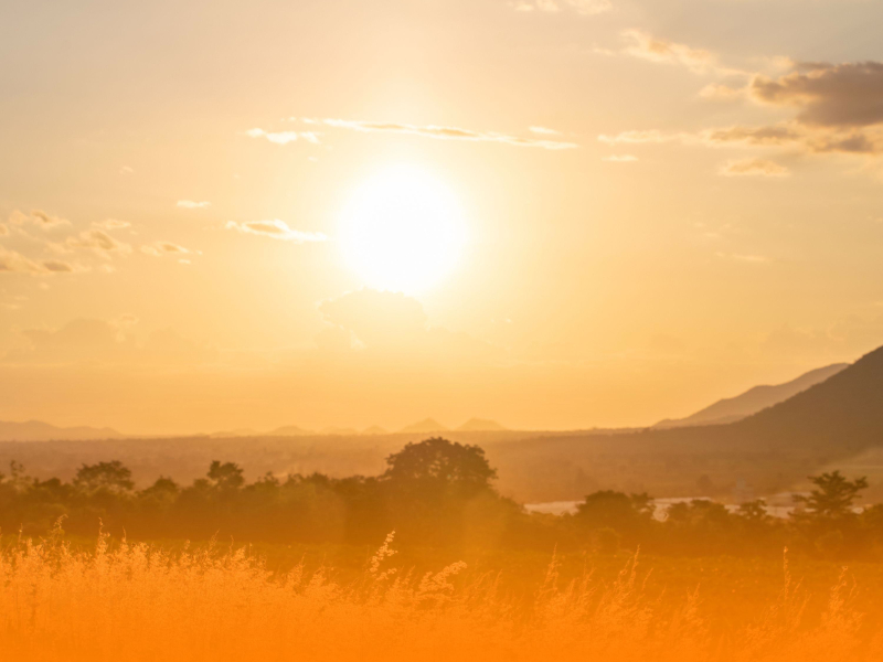 Healing Ambient Music With Nature Sounds And Gentle Piano For Anxiety Relief And Mindfulness (Single)