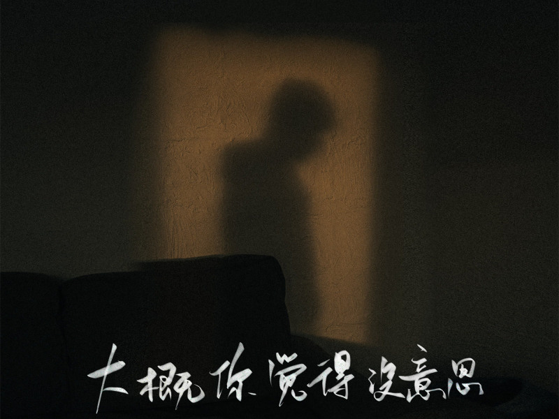 大概你觉得没意思 (Single)
