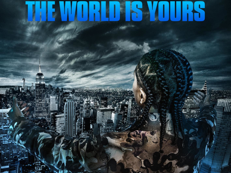 The World Is Yours: Gangsta Grillz