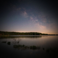 Sounds of Frogs in a Lake on a Summer's Night (Single)