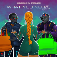 What You Need (Remix) (Single)