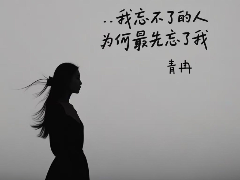 我忘不了的人为何最先忘了我 (Dj浩然版) (Single)