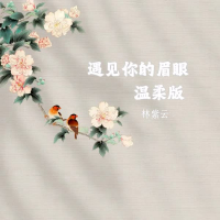 遇见你的眉眼 (温柔版) (Single)