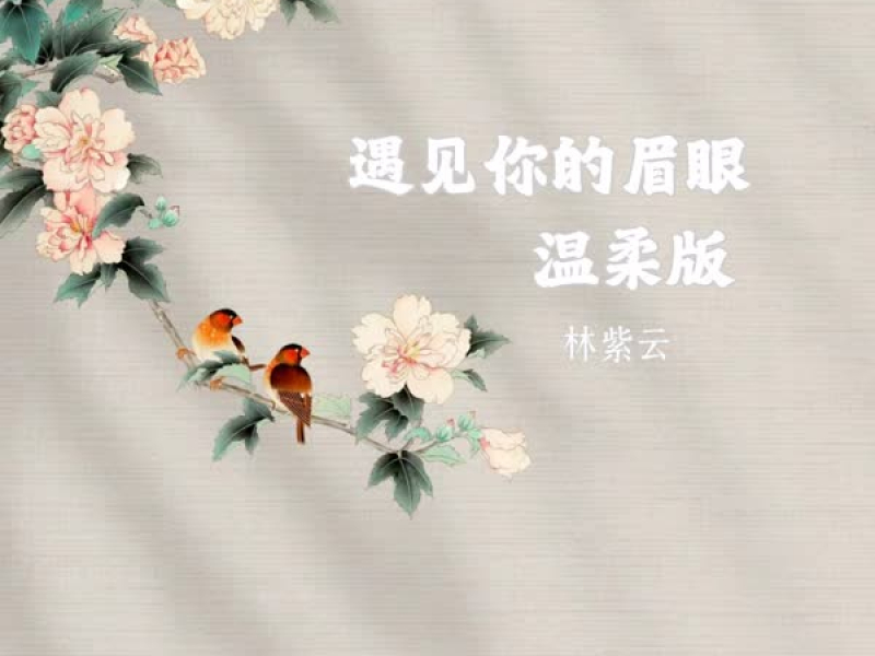 遇见你的眉眼 (温柔版) (Single)