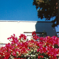 Somewhere in Condesa (Single)