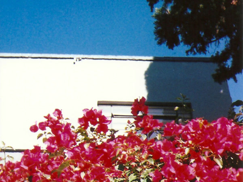 Somewhere in Condesa (Single)