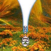 Lust For Life (BloodPop® Remix) (Single)