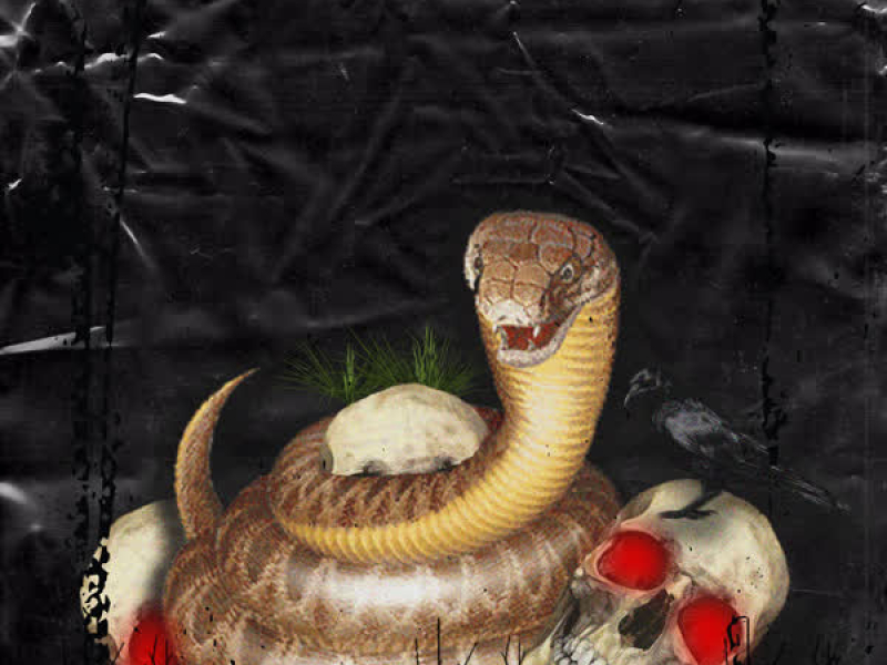 Hustle Knockin (Single)