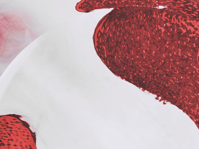 king & queen (acoustic) (Single)