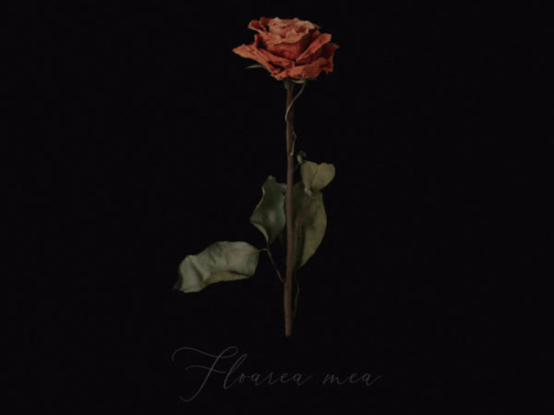 Floarea mea (Single)