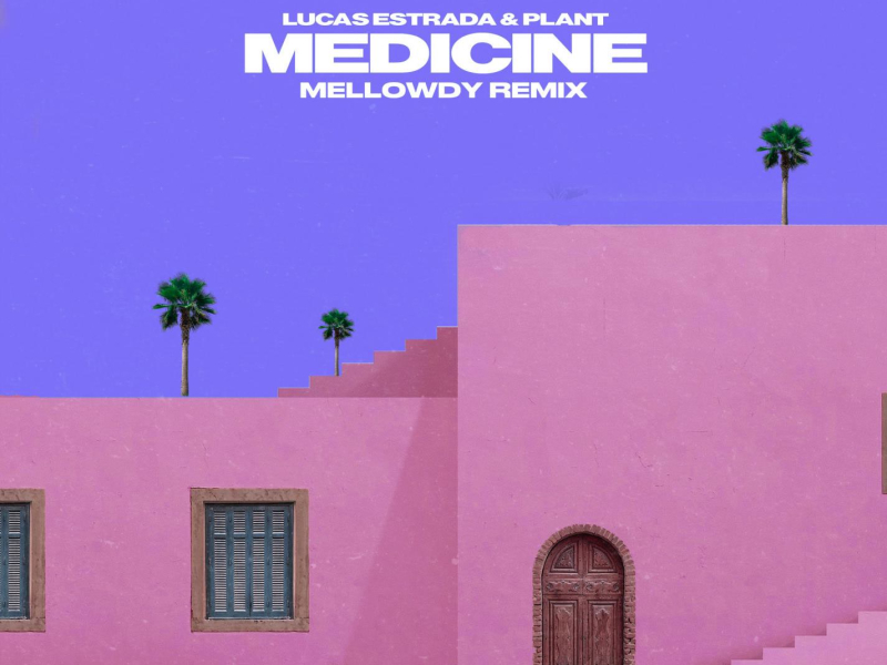 Medicine (Mellowdy Remix) (Single)