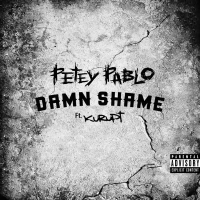 Damn Shame (Single)