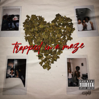 Trapped in a maze (Single)