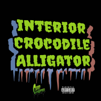Interior Crocodile Alligator (Single)