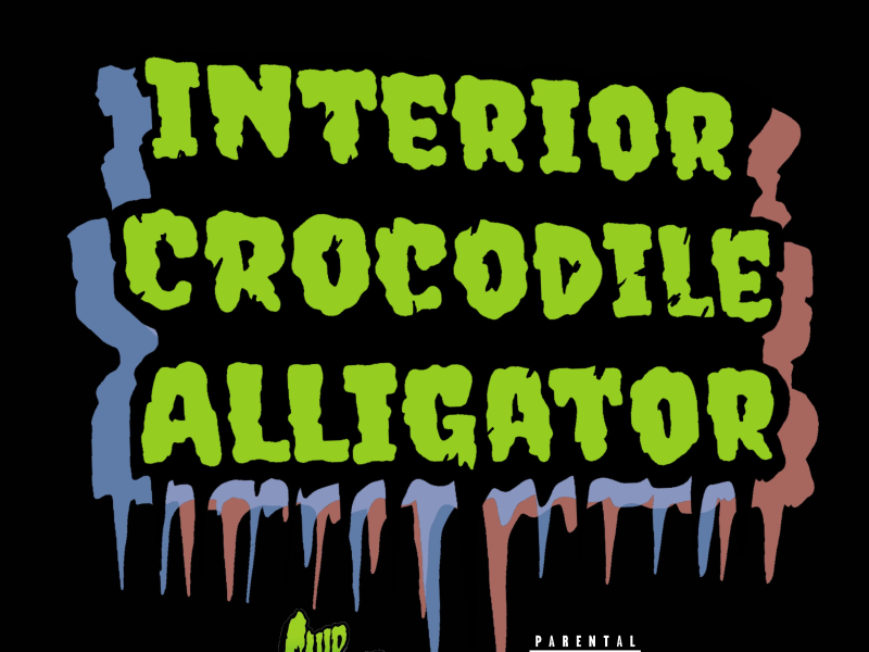 Interior Crocodile Alligator (Single)