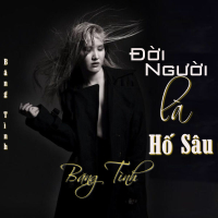 Đời Người Là Hố Sâu (Single)