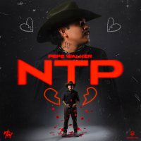 NTP (Single)