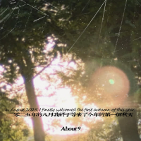 二零二五年的八月我终于等来了今年的第一个秋天 (Single)