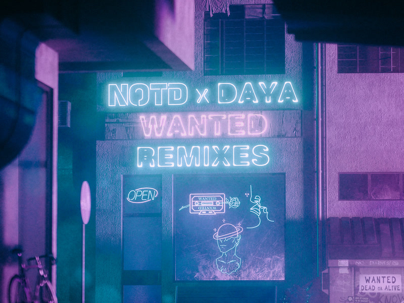 Wanted (RetroVision Remix) (Single)