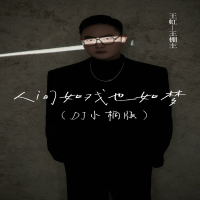 人间如戏也如梦 (DJ小桐版) (Single)