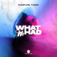 What We Had (Single)