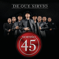 De Qué Sirvío (Single)