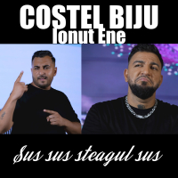 Sus sus steagul sus (Single)